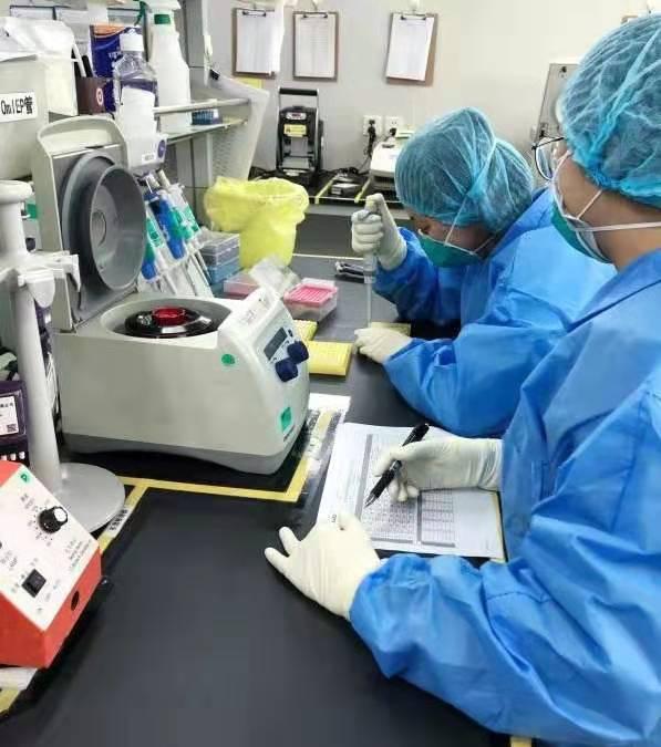 華大基因研發新冠病毒快速檢測試劑盒，3小時精準出結果